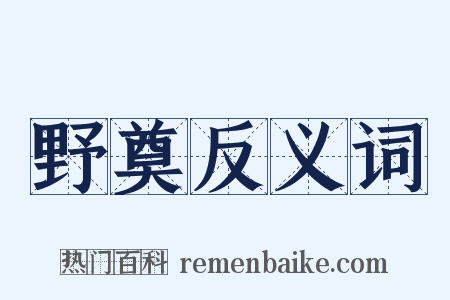 野奠反义词是什么意思的图片